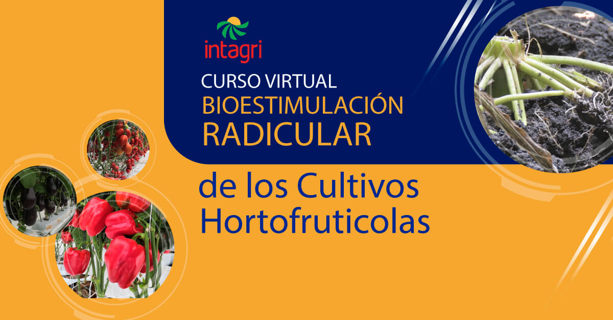 Curso Virtual Bioestimulaci N Radicular De Los Cultivos